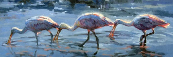 Golden Hour Animals: Spoonbill Late Feeding by Sandy Nelson