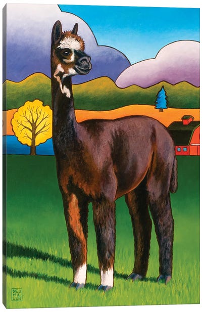 Bella Canvas Art Print - Llama & Alpaca Art