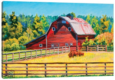 Buffalo Barn Canvas Art Print - Stacey Neumiller
