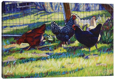 This Way And That Canvas Art Print - Chicken & Rooster Art