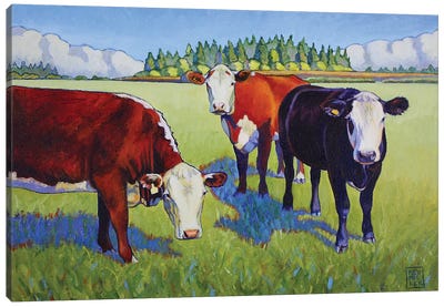 Bovine Buddies Canvas Art Print - Stacey Neumiller