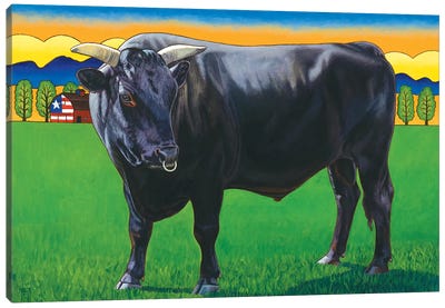Bull Market Canvas Art Print - Stacey Neumiller