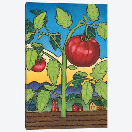 Dad's Tomato Canvas Print #SNM25} by Stacey Neumiller Canvas Wall Art