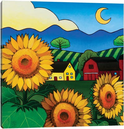Fleur Du Soleil Canvas Art Print - Stacey Neumiller