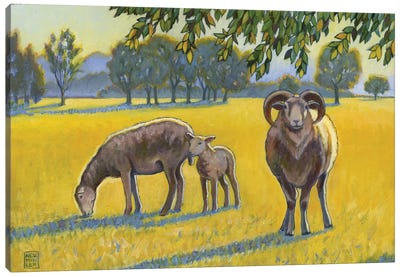 Baa, Ram, Ewe Canvas Art Print - Sheep Art