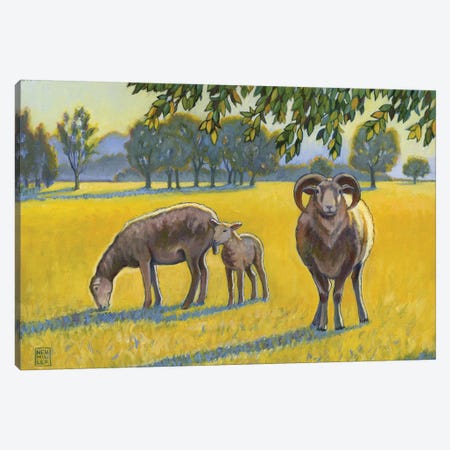 Baa, Ram, Ewe Canvas Print #SNM4} by Stacey Neumiller Canvas Artwork