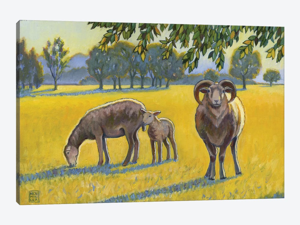 Baa, Ram, Ewe by Stacey Neumiller 1-piece Canvas Art Print