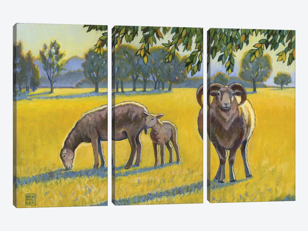 Baa, Ram, Ewe by Stacey Neumiller 3-piece Art Print