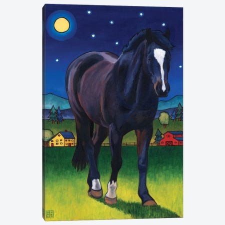 Midnight Horse Canvas Print #SNM54} by Stacey Neumiller Canvas Print