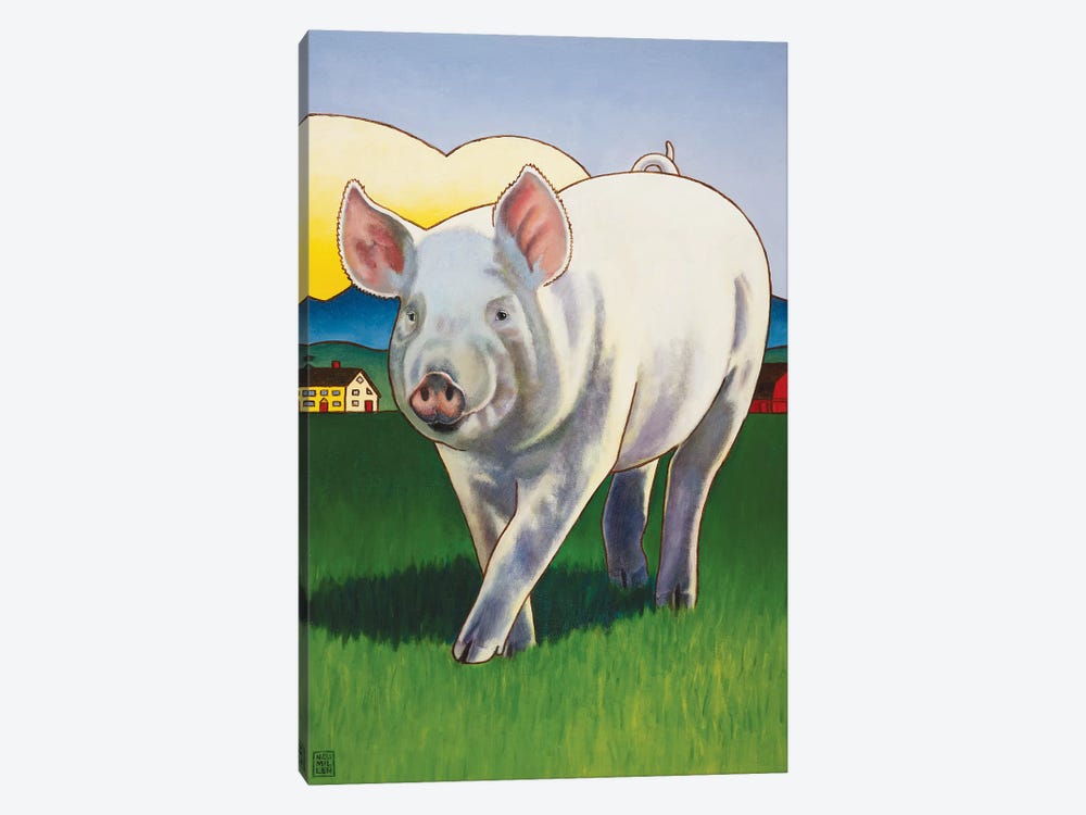 Pig Newton by Stacey Neumiller 1-piece Canvas Artwork