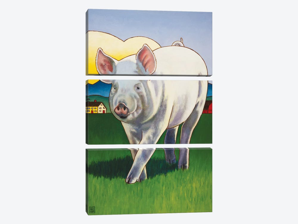 Pig Newton by Stacey Neumiller 3-piece Canvas Art
