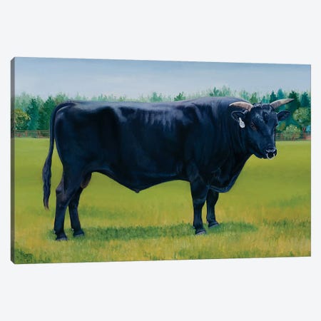 Ralph'S Bull Canvas Print #SNM69} by Stacey Neumiller Art Print
