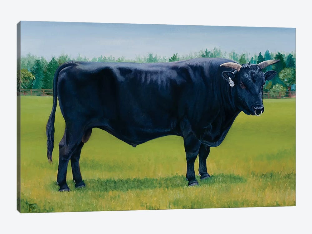 Ralph'S Bull by Stacey Neumiller 1-piece Canvas Print