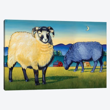 Sheep At Sunset Canvas Print #SNM77} by Stacey Neumiller Art Print