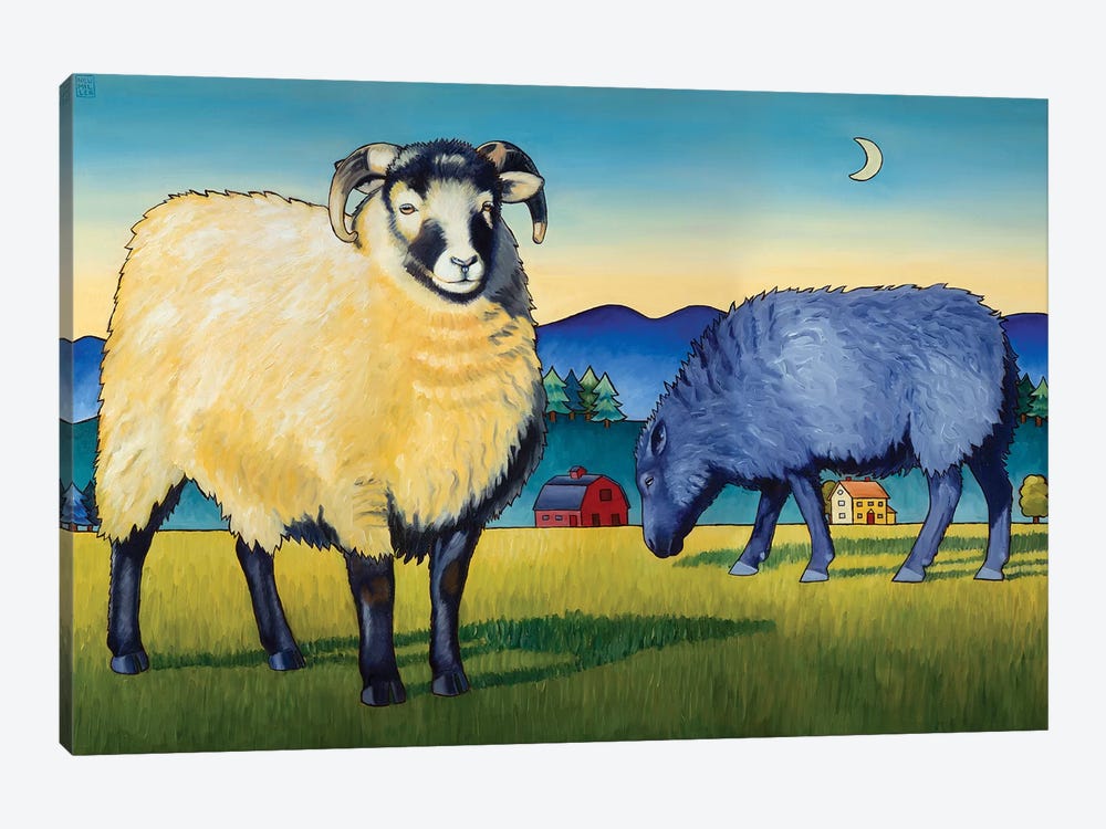 Sheep At Sunset by Stacey Neumiller 1-piece Canvas Wall Art