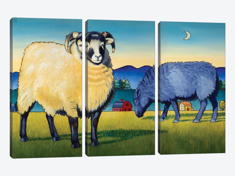 Sheep At Sunset by Stacey Neumiller 3-piece Canvas Art