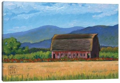 Skagit Valley Barn VII Canvas Art Print - Stacey Neumiller