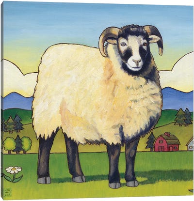 Tara's Sheep Canvas Art Print - Stacey Neumiller