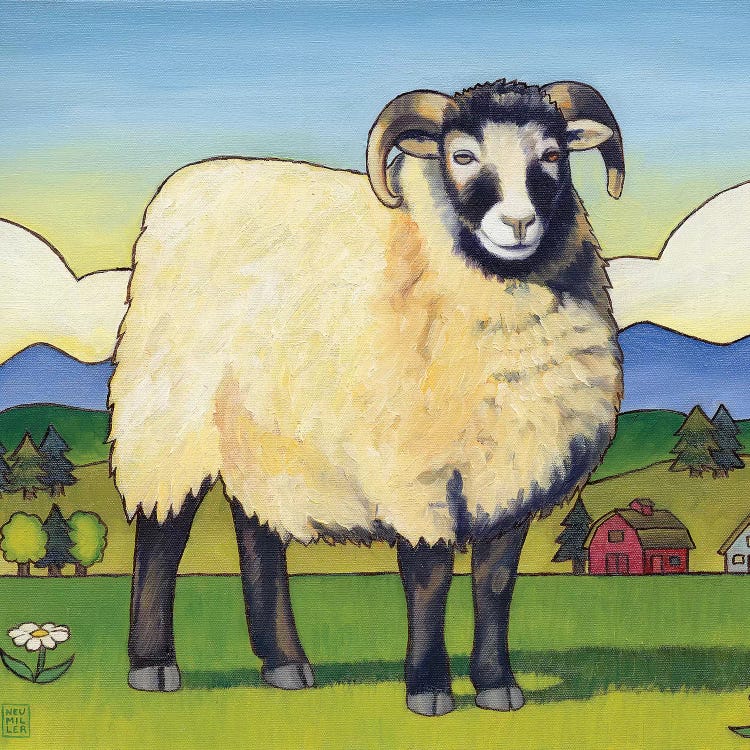 Tara's Sheep