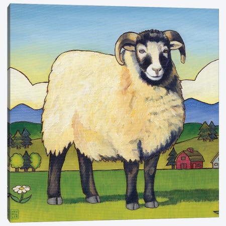 Tara's Sheep Canvas Print #SNM93} by Stacey Neumiller Canvas Artwork