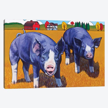 Big Pigs Canvas Print #SNM9} by Stacey Neumiller Art Print