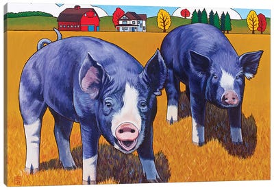 Big Pigs Canvas Art Print - Stacey Neumiller