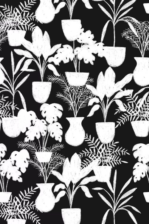 Abstract Flora I by Taylor Shannon wall art