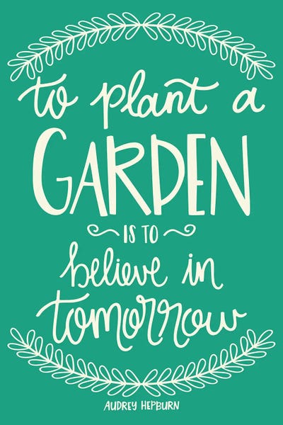 Taylor Shannon: Flower Garden by Taylor Shannon