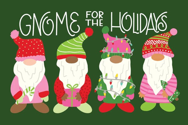Naughty Or Nice: Gnome for the Holidays by Taylor Shannon