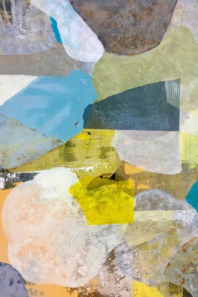 Terraforms Series I by Sean Parrish canvas print