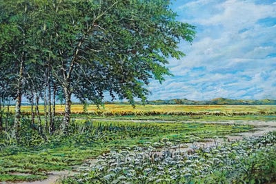 Summer Field by Sinisa Saratlic framed canvas print