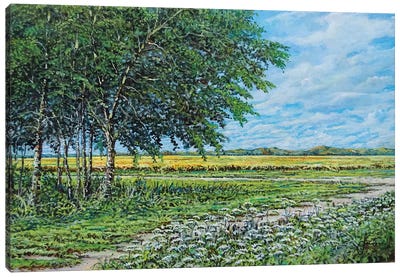 Summer Field Canvas Art Print - Sinisa Saratlic