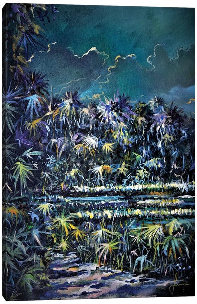 Midnight Palms Canvas Art Print - Sinisa Saratlic
