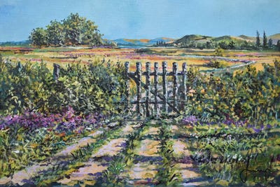 Mary's Field by Sinisa Saratlic framed canvas print