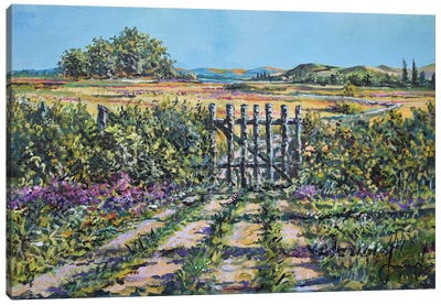 Mary's Field Canvas Art Print - Sinisa Saratlic