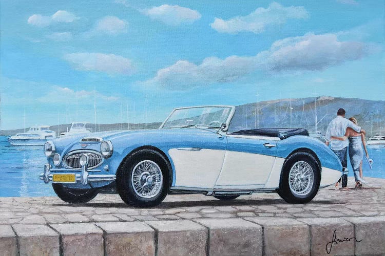 1952-1967 Austin Healey by Sinisa Saratlic wall art