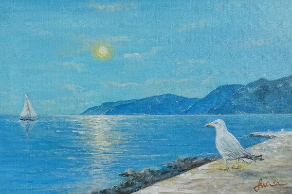 Seagull