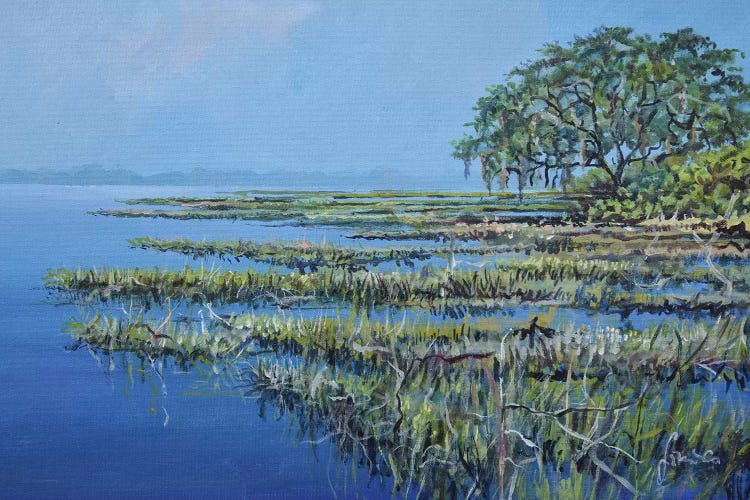 Marshland by Sinisa Saratlic wall art