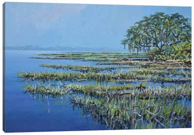Marshland Canvas Art Print - Marsh & Swamp Art