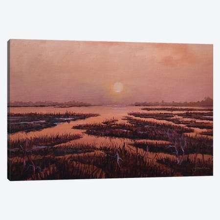 Red Marsh Canvas Print #SNS71} by Sinisa Saratlic Canvas Artwork