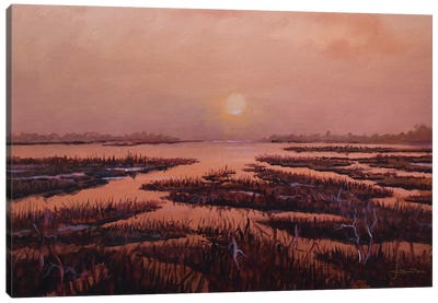 Red Marsh Canvas Art Print - Marsh & Swamp Art