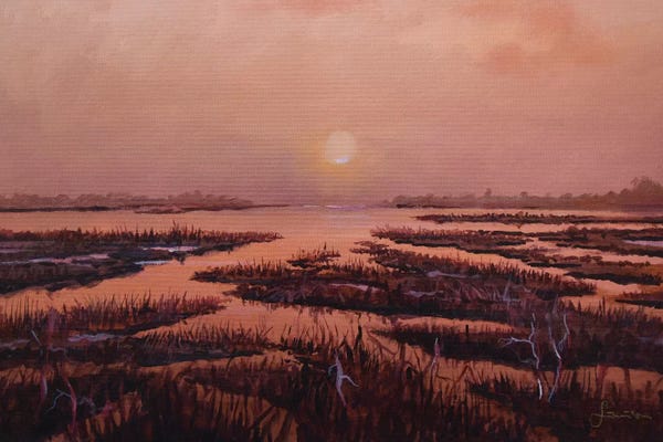 Marshes & Swamps: Red Marsh by Sinisa Saratlic