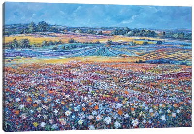 Flower Field Canvas Art Print - Sinisa Saratlic