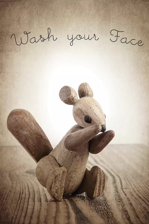 Zooline Squirrel Wash Your Face by Saint and Sailor Studios wall art