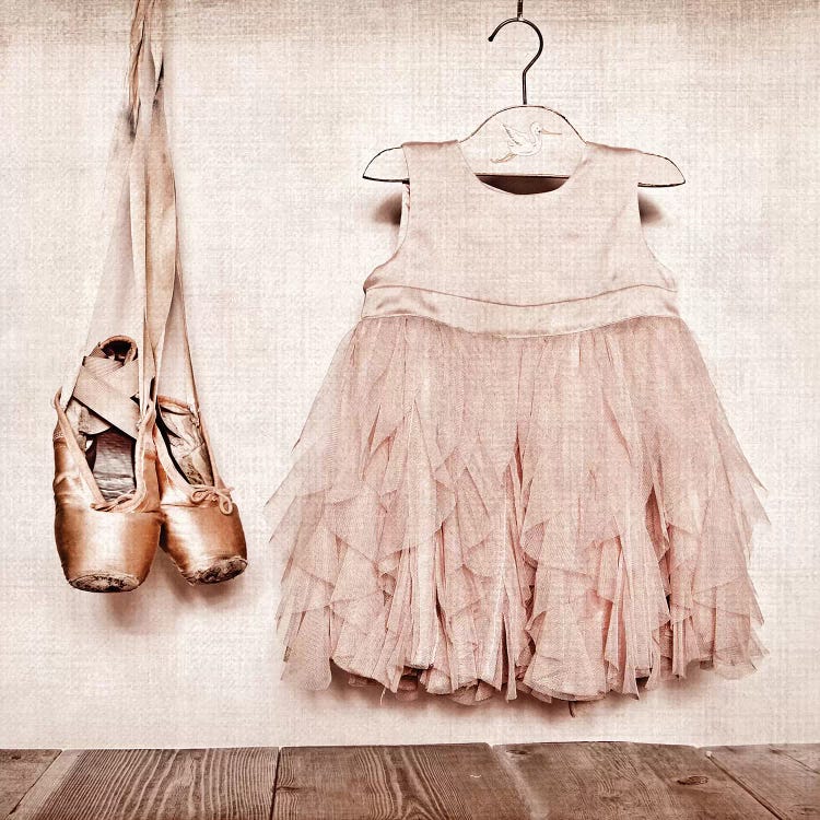 Baby Girl Dress And Ballet Slippers