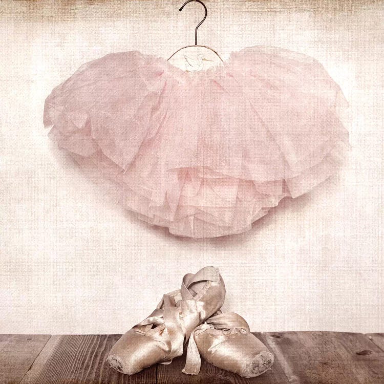 Ballet Slippers And Tutu