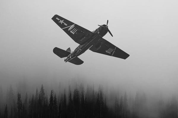 Military Aircraft: WWII Fighter Emerge by Saint and Sailor Studios