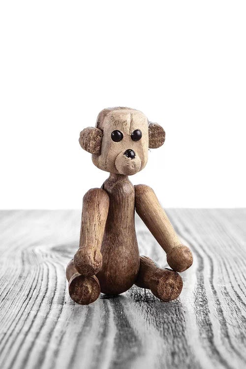 Bear Zooline by Saint and Sailor Studios wall art