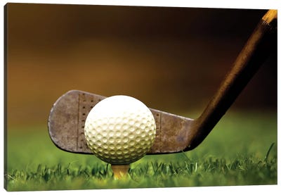Iron Gold Grass Canvas Art Print - Golf Art