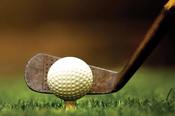 Kids Sports Art: Iron Gold Grass by Saint and Sailor Studios